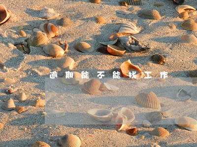 逾期能不能找工作 逾期能不能找工作