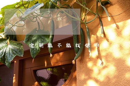 逾期能不能找律师 逾期能不能找律师