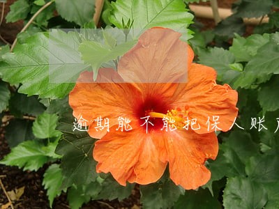 逾期能不能把保人账户冻结 逾期能不能把保人账户冻结