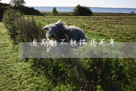 逾期能不能按揭买车 逾期能不能按揭买车
