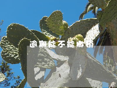 逾期能不能撤销 逾期能不能撤销
