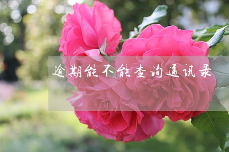 逾期能不能查询通讯录 逾期能不能查询通讯录