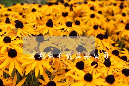 逾期能不能注册公司 逾期能不能注册公司