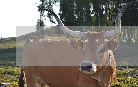 逾期能不能消除问题怎么处理 逾期能不能消除问题怎么处理