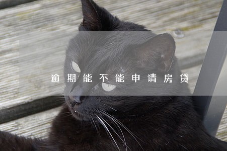 逾期能不能申请房贷 逾期能不能申请房贷