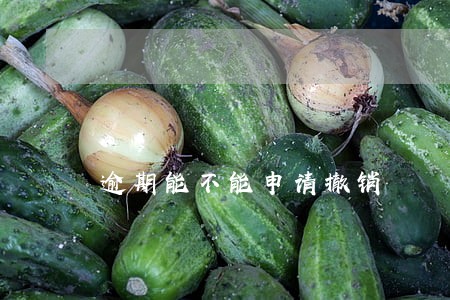 逾期能不能申请撤销 逾期能不能申请撤销