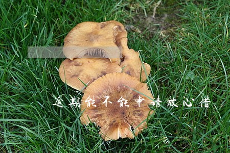 逾期能不能申请放心借 逾期能不能申请放心借