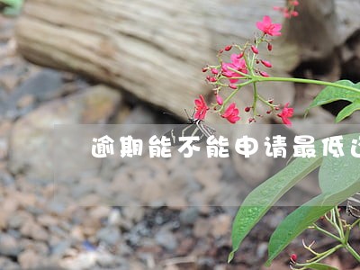 逾期能不能申请最低还款 逾期能不能申请最低还款