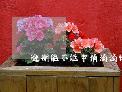 逾期能不能申请滴滴快车 逾期能不能申请滴滴快车