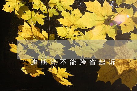 逾期能不能跨省起诉 逾期能不能跨省起诉
