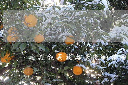逾期能买旅游景点的保险吗 逾期能买旅游景点的保险吗