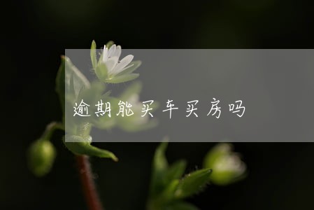 逾期能买车买房吗 逾期能买车买房吗