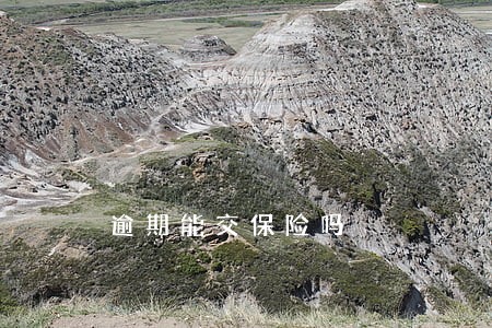 逾期能交保险吗 逾期能交保险吗
