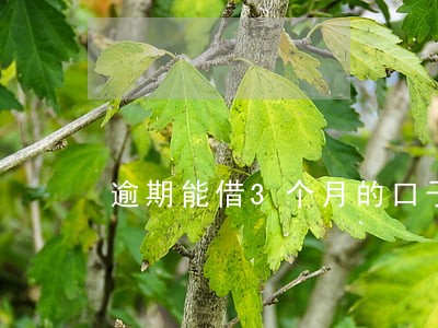 逾期能借3个月的口子 逾期能借3个月的口子