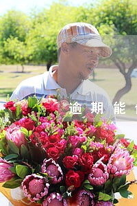 逾期能借安逸花吗 逾期能借安逸花吗