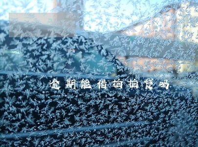 逾期能借拍拍贷吗 逾期能借拍拍贷吗