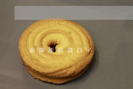 逾期能借款口子 逾期能借款口子