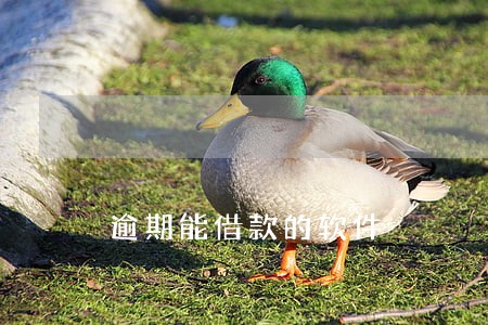 逾期能借款的软件 逾期能借款的软件
