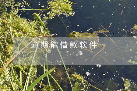 逾期能借款软件 逾期能借款软件