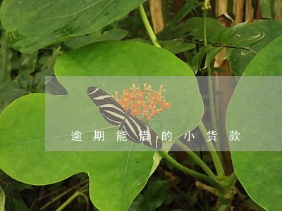 逾期能借的小货款 逾期能借的小货款