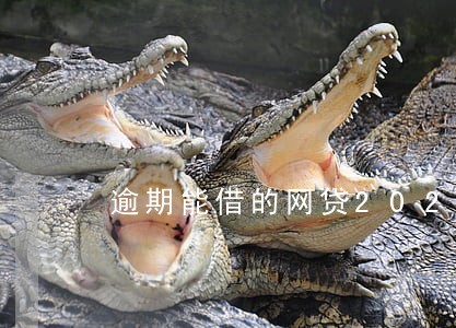 逾期能借的网贷2020 逾期能借的网贷2020