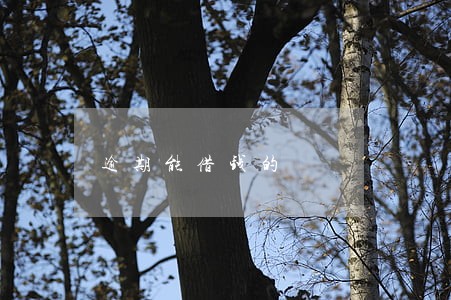 逾期能借钱的 逾期能借钱的