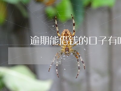 逾期能借钱的口子有吗