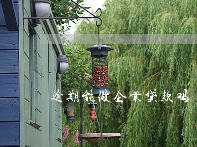 逾期能做企业贷款吗