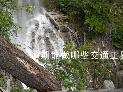 逾期能做哪些交通工具 逾期能做哪些交通工具