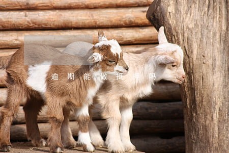 逾期能做抵押吗