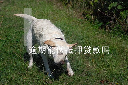 逾期能做抵押贷款吗 逾期能做抵押贷款吗