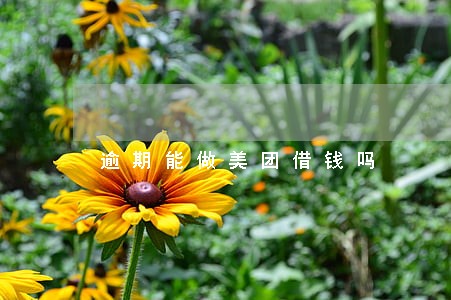 逾期能做美团借钱吗