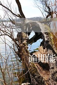 逾期能做车贷吗 逾期能做车贷吗