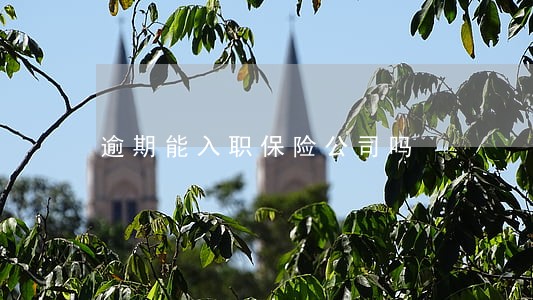 逾期能入职保险公司吗