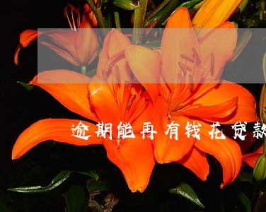 逾期能再有钱花贷款吗 逾期能再有钱花贷款吗