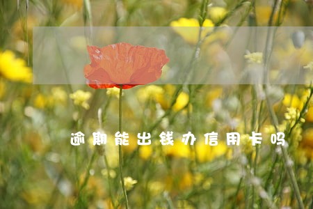逾期能出钱办信用卡吗 逾期能出钱办信用卡吗