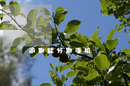 逾期能分期手机 逾期能分期手机