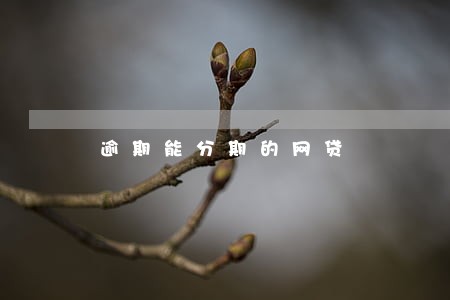 逾期能分期的网贷 逾期能分期的网贷