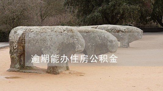 逾期能办住房公积金 逾期能办住房公积金