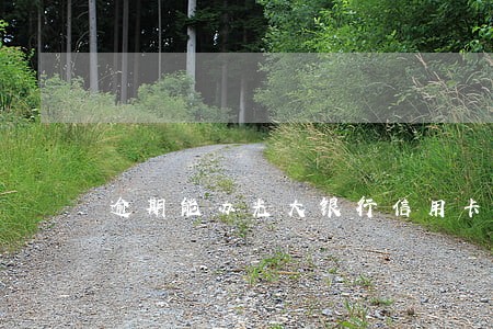 逾期能办光大银行信用卡吗 逾期能办光大银行信用卡吗