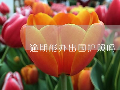 逾期能办出国护照吗 逾期能办出国护照吗