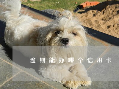 逾期能办哪个信用卡 逾期能办哪个信用卡