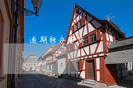 逾期能办房贷