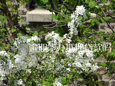 逾期能办抵押贷款吗