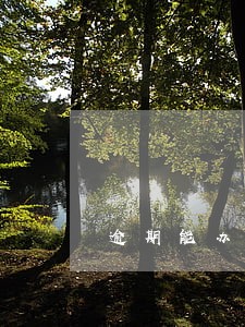 逾期能办理不动产证 逾期能办理不动产证