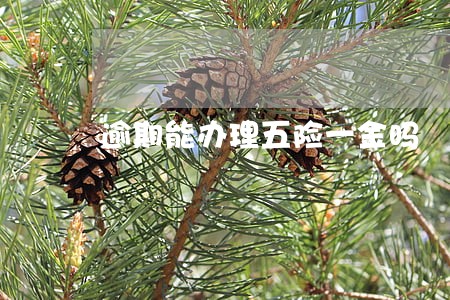 逾期能办理五险一金吗 逾期能办理五险一金吗
