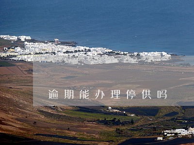 逾期能办理停供吗 逾期能办理停供吗