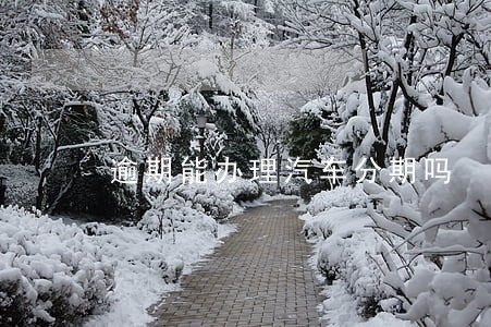 逾期能办理汽车分期吗 逾期能办理汽车分期吗