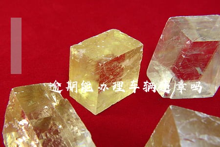 逾期能办理车辆违章吗 逾期能办理车辆违章吗