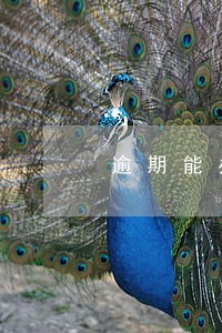 逾期能办的信用卡中国 逾期能办的信用卡中国